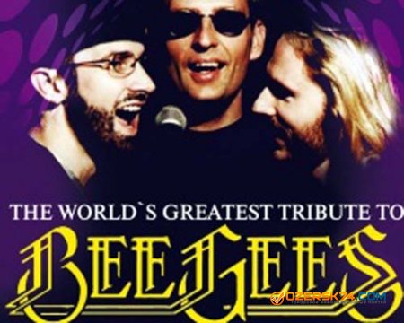  Bee Gees  