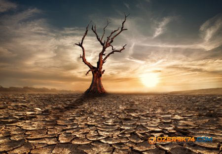 В ближайшие 100 лет Землю ожидает засуха