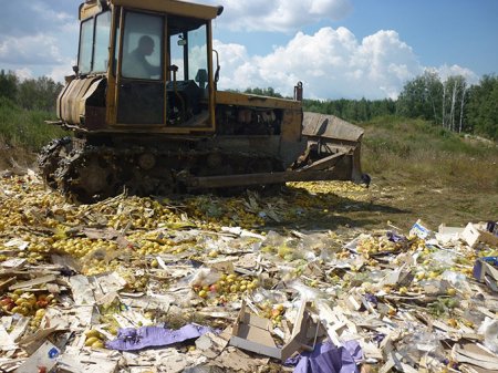 На Южном Урале уничтожили 5,5 тонн санкционных фруктов