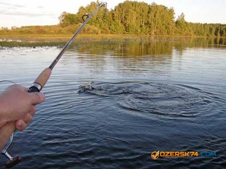 Платную рыбалку на озерах Челябинской области признали незаконной