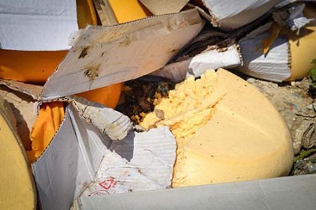 В Челябинской области уничтожили крупную партию санкционного сыра