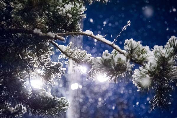 В новогоднюю ночь и утром 1 января будет «умеренно» прохладно