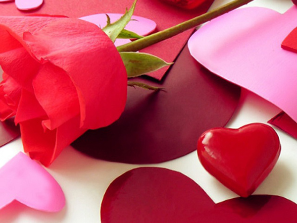 В Госдуме предложили запретить празднование Дня святого Валентина в школах