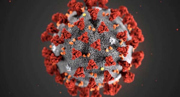 За сутки более 950 россиян заболели коронавирусом