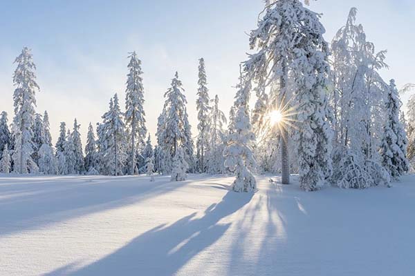 Настоящий холод прогнозируют на Урале и в ряде других регионов России