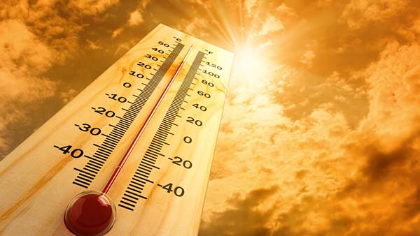 В Челябинской области жара до +36 градусов продержится еще 10 дней