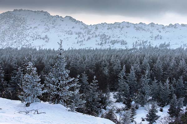 В нацпарке «Таганай» откроют лыжный маршрут на Черную скалу