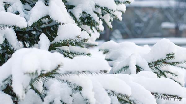 Челябинскую область ждут два дня снегопадов
