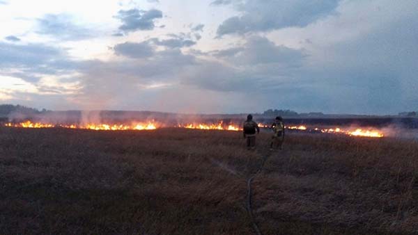 На автодороге Озёрск - Касли произошло возгорание травы