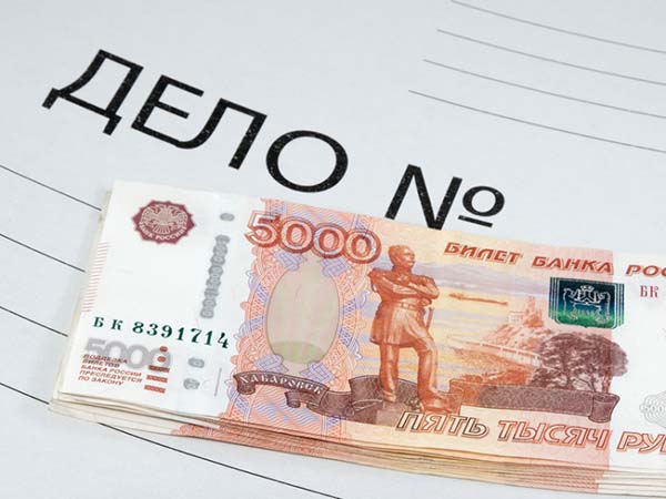Полицейские Озерска пресекли противоправные действия местной жительницы, нанесшей ущерб банку более чем в 700 тысяч рублей