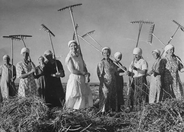 Идеал колхозницы: какие крестьянки считались красивыми в СССР