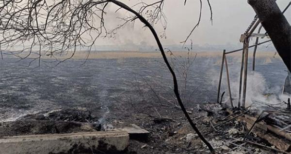 Прокуратура: Ущерб от пожара в садовом товариществе в Озерске превысил 3 млн