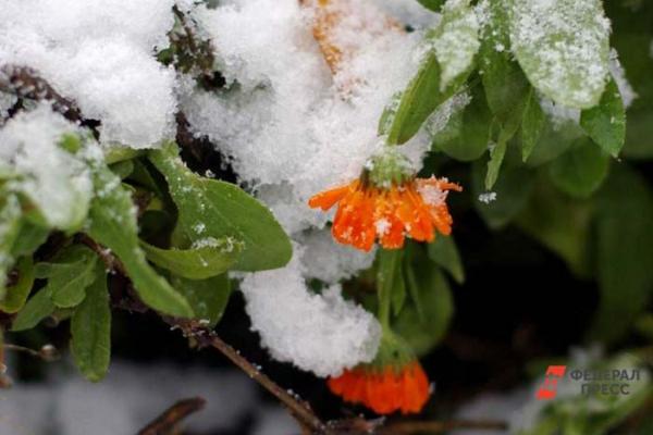 Синоптики ошиблись с датой первых снегопадов в Челябинской области